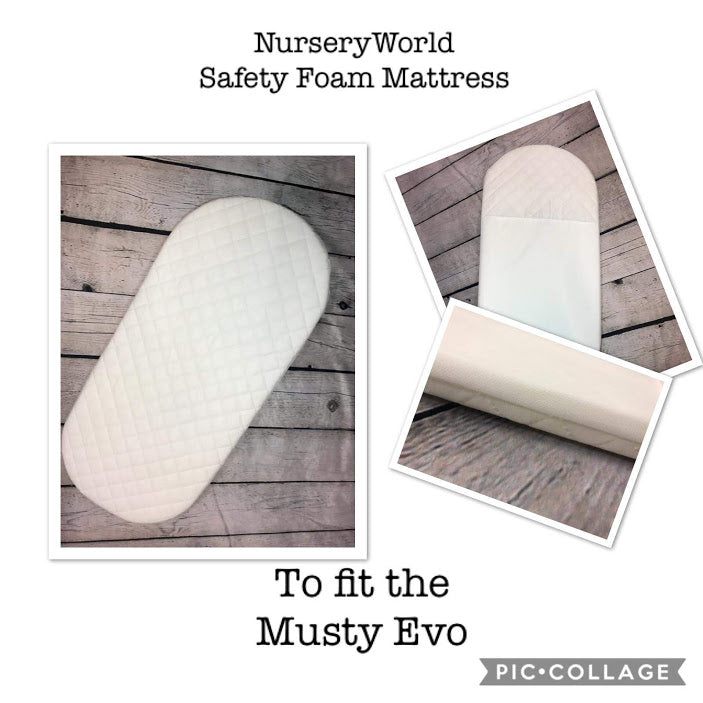 Mutsy carrycot evo clearance